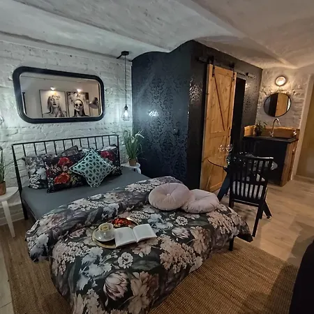 Przytulne Studio 4 Z Parkingiem Katovice Exteriér fotografie